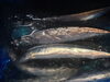 「☆旬の新鮮な秋刀魚☆本日！一押し☆」