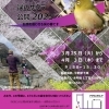 渓のサクラ公開2025  3月25日（火）～4月3日（木）　川西市水明台１丁目傾斜地付近