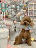 ねむくん「MerryXmas🎄」