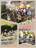 みんななかよし♡「ちょっと遠くまで♪【交野市・小規模保育園】」