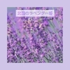 北国のラベンダー姫10ml