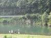 「島根県の高津川！！」