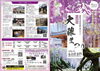 「4月11日から八女市黒木町大藤まつり開催‼️。」