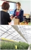 直売所ではギフト発送もおこなっております「南箱根農園 丹那高原トマト直売所」