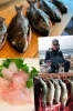 確かな腕と目利きで父が釣り上げる、魚自慢「みませ」の誇り。「素人料理 みませ」