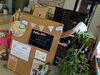 「『ユリーフ』てっこマルシェ初出店」