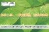 「有限会社サン企画」解体・産廃・収集運搬・処分・美装まで！　街を明るく照らします！