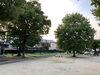 「◇子連れお出かけスポット情報◇ 〜深草西公園〜」