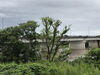 斐伊川、大雨後の…「少人数のお仲間から団体の身内の食事会迄…。」