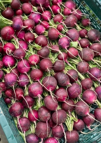 「美味しいお野菜の情報です【採れたてご褒美便】」