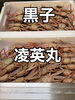 「本日蟹入荷致しました」