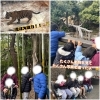 「🎍新年のご挨拶🎍＆上野動物園へ行きました🚃🐆🐘」