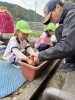 「八女市で保育園をお探しの保護者様へ　玉ねぎの苗植え」