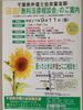 「『無料法律相談会（市川市）』」