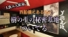 「Chot Bar『開運』樹の上の秘密基地 ついてる」西船橋駅前で気軽に楽しめる“Chot Bar（ちょっとバー）”