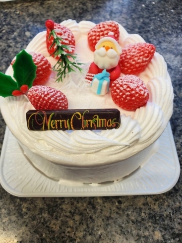 「クリスマスケーキ予約受付中！12月15日（木）まで！【札幌のケーキ屋さん　ポワソンダブリール】」