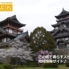 まいぷれ京都市伏見区編集部