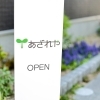 あざれや