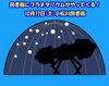 「プラネタリウム【星の宅急便 in 小松川図書館】　事前申込は26日(土)～」