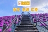 「まいぷれ香芝・葛城編集部」地元の暮らしをちょっぴり楽しくする地域情報サイト