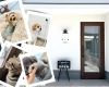 「Dog Salon tio」わんちゃんにぴったりのお手入れを　おうちサロンで癒しのひととき