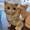 ハイタッチにゃんこ