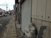 「ご葬儀後の手続きは、どんなものがあるの？」