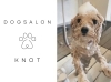 「Dogsalon KNOT」愛犬もご家族も安心できるプライベートサロン
