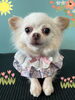 「Dog salon mofu mofu　余市町」