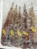 「西海物産館おすすめは「活ヒラス・ヤリイカ」です♪」