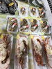 「魚魚市場鮮魚コーナーおすすめは「クロ」です♪」
