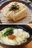上）ざるうどん　モチモチ食感！
下）【夏季限定】梅おろしうどん「こがね製麺所 高岡横田本町店」