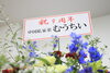 「『感謝』本日NOJ新潟店は9周年を迎えました」