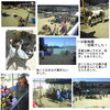 「写真は一日動物園の様子です。」