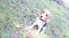 「冷えにご注意を」