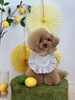 ダリくん「わんことレモン🍋」