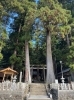 夢で見た鳥居にそっくりな奈良の室生龍穴神社「明晰夢で見た謎の鳥居が気になって仕方が無い。これはいったいどこぞや？今日はまず不思議な明晰夢の解釈」