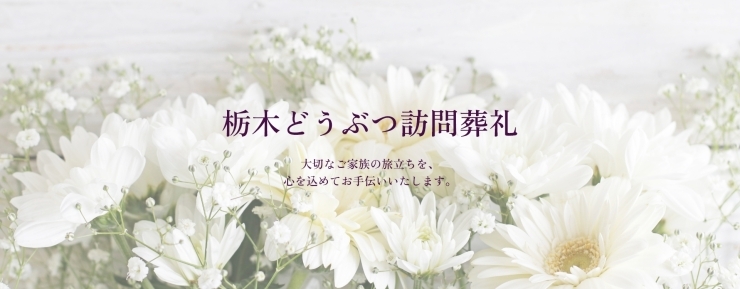 「栃木どうぶつ訪問葬礼」大切なご家族の旅立ちを、今まで過ごしてきたご自宅で。