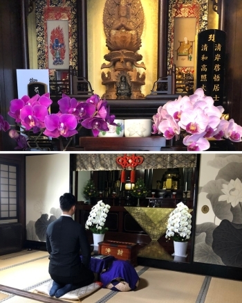 感謝の祈りとして神社や寺院に胡蝶蘭を奉納する方が増えています「株式会社オルグ・ブランディング京都」