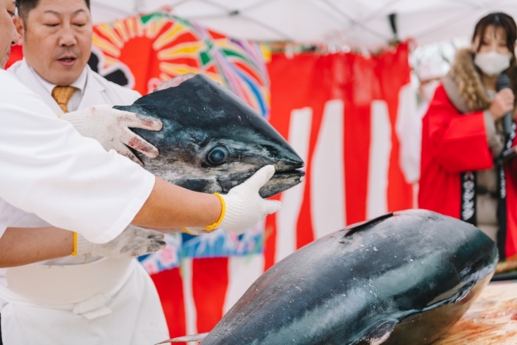 「鶴美寿し」旬の天然魚の刺身・お寿司を、鶴美寿しでご堪能下さい。