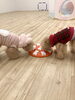 ハッピーちゃんＧroくん　ノーズワーク中♡「ましゅまろ幼稚園　^ - ^」