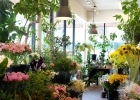 Flower shop hanamo