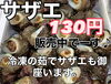 「岩牡蠣販売中です」