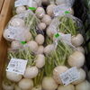 「毎日の食卓にすぐ使える！新鮮な地元野菜がずらりと並ぶ青果売り場へ遊びに来ませんか？」