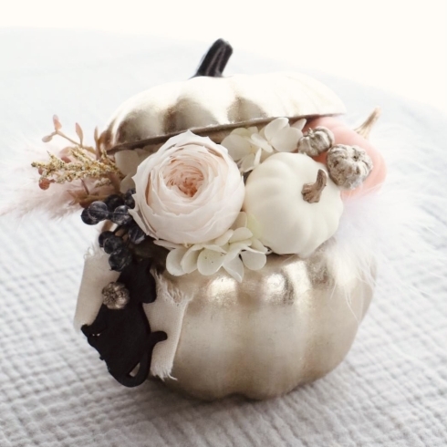 プリザーブドフラワーでハロウィンアレンジメント Douce デゥース のニュース まいぷれ 江戸川区 プリザーブドフラワーでハロウィンアレンジメント Douce デゥース のニュース まいぷれ 江戸川区