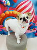 チワワのうみちゃん🌺「🐶トリミングにご来店されたわんちゃん🐾」