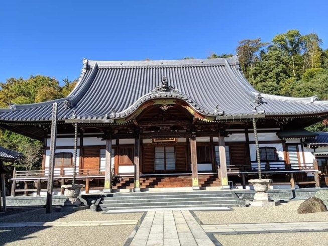 「新居浜市滝の宮町にある真光寺は、お寺ヨガや早朝坐禅会も人気です。」