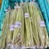「地元産『わらび』入荷します！道の駅木曽福島」
