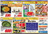 「1月19日（金）～20日（土）　チラシ」