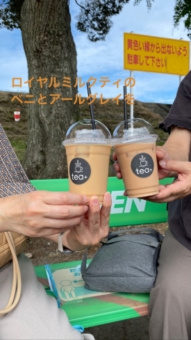 ロイヤルミルクティ⭐︎和紅茶ベニとアールグレイ「伊豆市狩野川記念公園へ販売に行ってきました！」